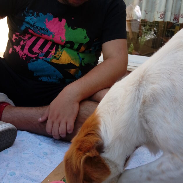 KILLIA_SARDEGNA_PET THERAPY_IAA_DISABILITA_ADULTI_CANE (4)